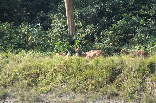 2005_nepaltrip_046